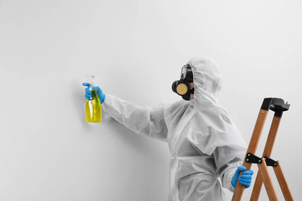 Best Industrial Mold Remediation  in Oaklyn, NJ